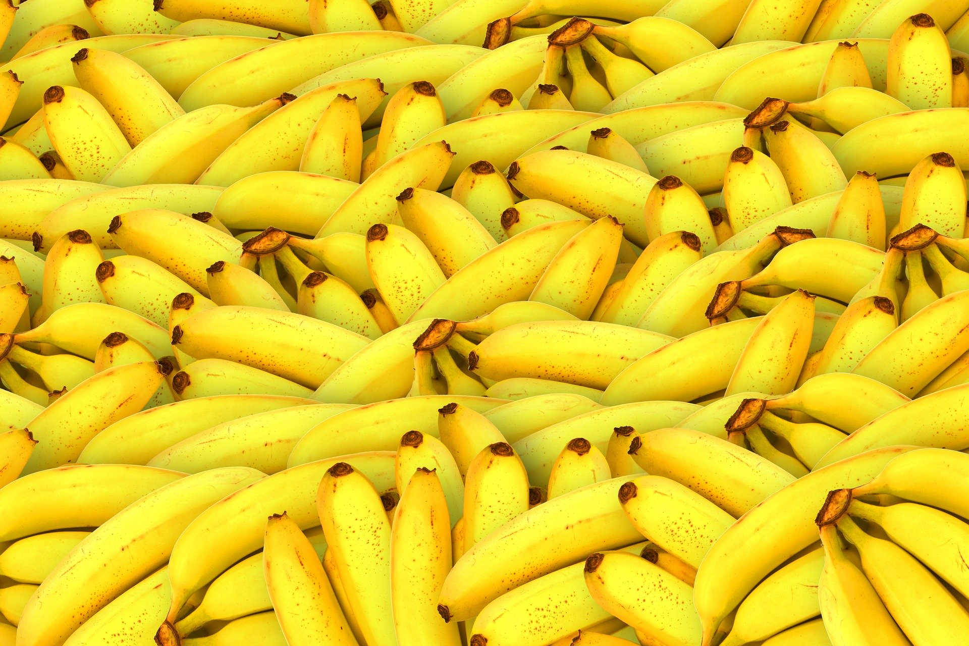 A huge pile of bananas